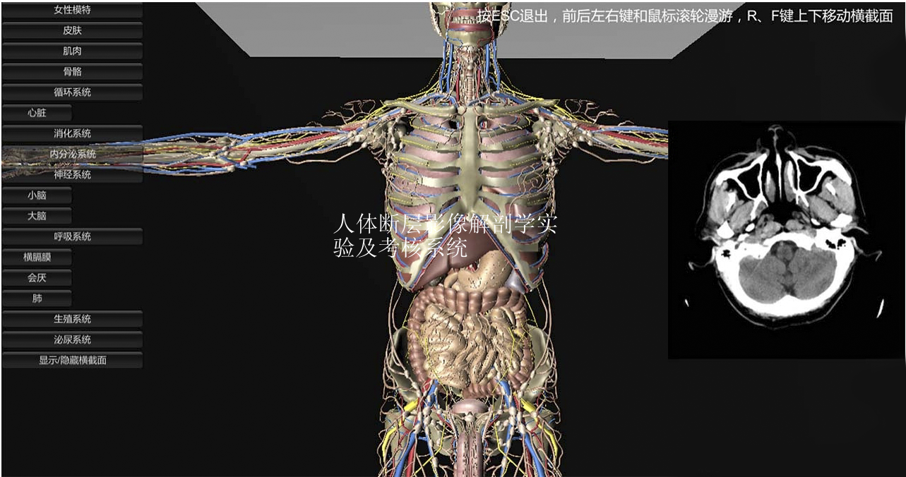 人體斷層影像解剖學(xué)實驗及考核系統(tǒng)