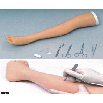 JD/M高級外科下肢縫合訓(xùn)練模型