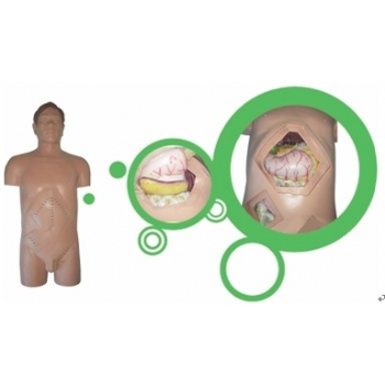 JD-WSS型外科手術(shù)技能訓練仿真模型