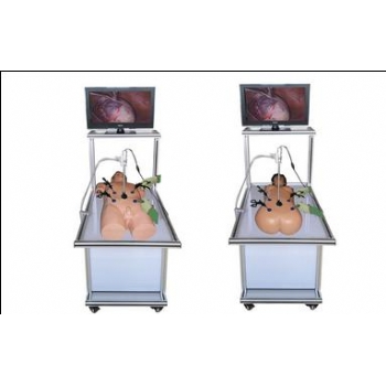 宮腔鏡手術模擬器