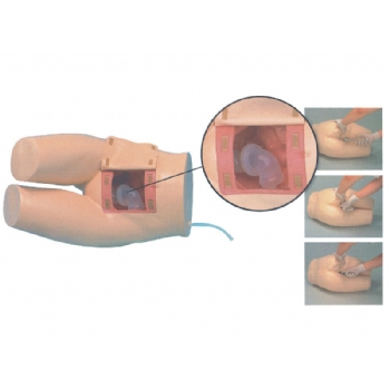 高級灌腸和輔助排便訓練模型