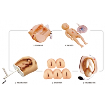 高級(jí)腹部觸診、分娩機(jī)轉(zhuǎn)綜合模型