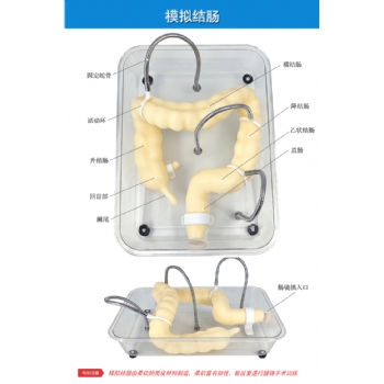腸鏡訓練模型
