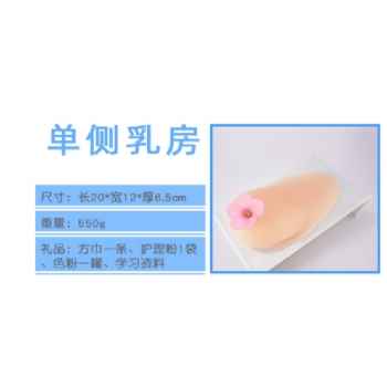 單側(cè)乳房模型